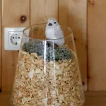 Appartement Mountain Vibrant And Timeless With Sauna - With Terrace Dravograd