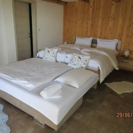 Mountain Vibrant And Timeless With Sauna - With Terrace *