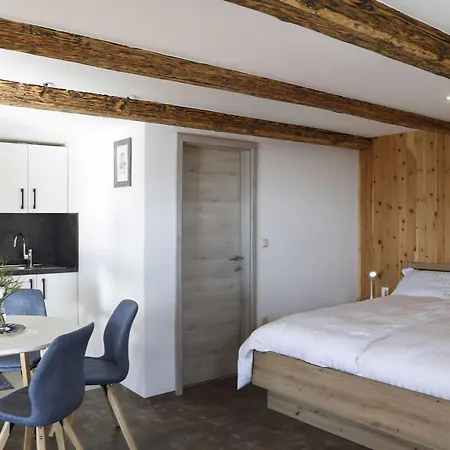 Mountain Vibrant And Timeless With Sauna - With Terrace * Dravograd