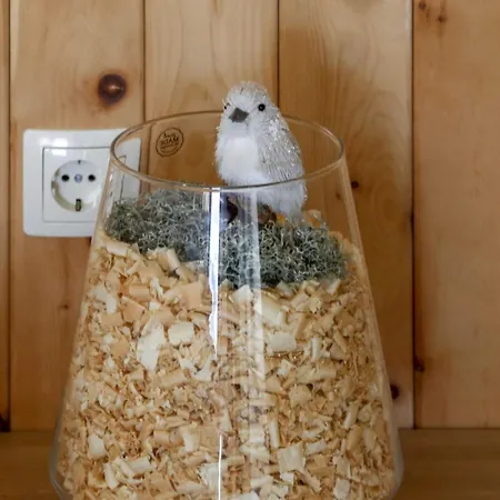 Apartamento Mountain Vibrant And Timeless With Sauna - With Terrace Dravograd