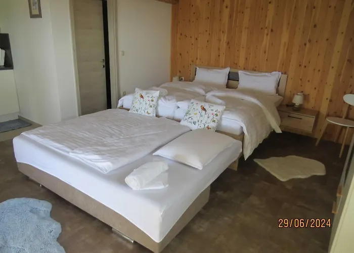 Mountain Vibrant And Timeless With Sauna - With Terrace *