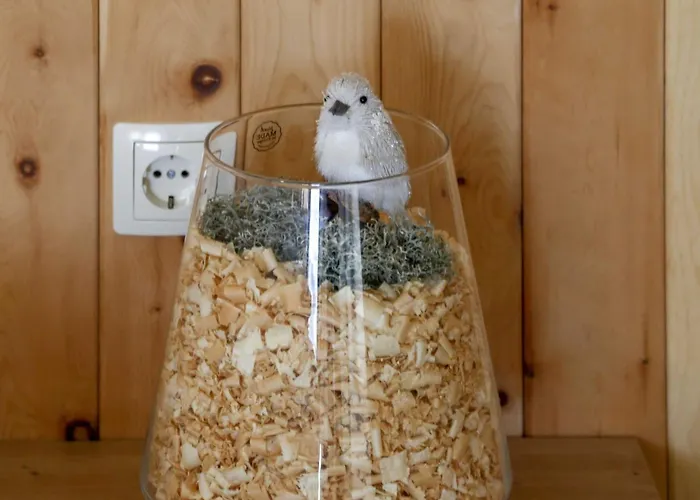 Apartamento Mountain Vibrant And Timeless With Sauna - With Terrace Dravograd